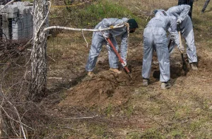 More than 100 dead dogs found in a California shelter and the investigation grows