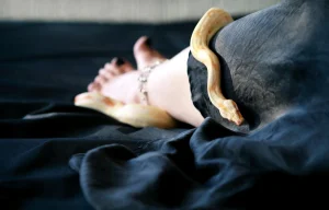 Dreaming about snakes has a positive and negative meaning: what is it?