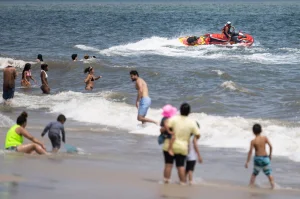Reports of shark sightings increase in the US amid July 4 celebrations