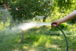 Fines and service cuts: the drastic measure of this water company in Utah