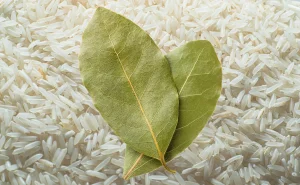 Combine rice and bay leaf to attract money in the midst of economic crises