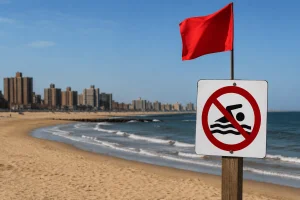 Alert on 12 New York beaches due to high levels of bacteria: what are they?