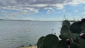 Two teenagers were arrested after the body of an 18-year-old young man was found in a Texas lake