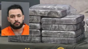 They dismantle an important drug trafficking network in Florida and seize a million-dollar shipment of drugs