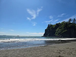 6-year-old boy crushed to death by huge log while playing on Washington beach