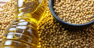 Soybean oil: healthy or unfairly demonized?