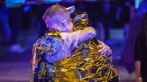 One woman dead and at least 29 injured at Berlin Pride March after vehicle plows into crowd